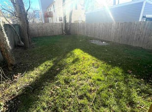 Leaf Removal by Caree Keith for Ashley R. in Washington, DC