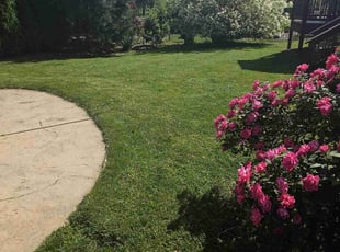 Kelly W.'s Lawn Maintenance service result