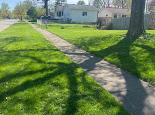 Erin L.'s Lawn Mowing service result