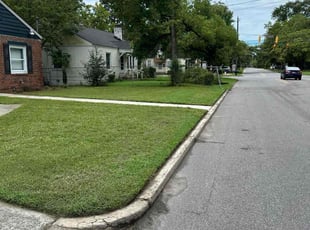 Andrea A.'s Lawn Maintenance service result