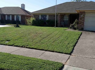 Richard E.'s Grass Cutting service result