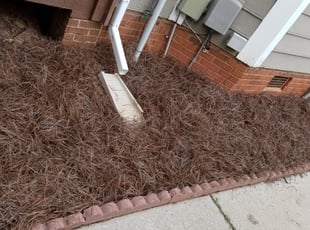 Weeding by Shane Decoteau for Christian A. in Columbia, SC