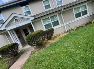 Bush Trimming by Kyran Bishop for Daniela C. in Dayton, OH