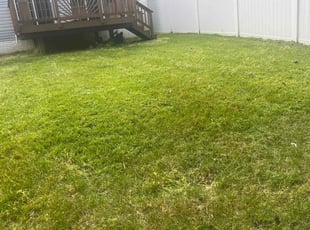 Jim_Carla A.'s Yard Cutting service result