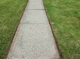 Terri T.'s Lawn Mowing service result