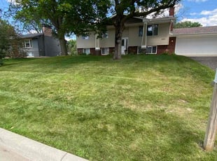 Cleanups by Michael VonBerge for Mina H. in Edina, MN