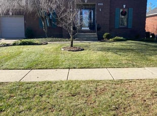 Leaf Removal by Aaron Kapfhammer for Latonya B. in Jeffersontown, KY
