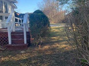 Bush Trimming by William Moore for Marinda W. in Arden, NC