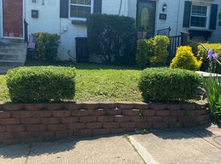 Bush Trimming by Hector Reyes for Heather L. in Alexandria, VA