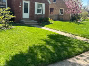 Wanda H.'s Lawn Service service result