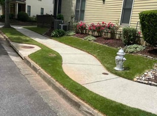 Carlos M.'s Grass Cutting service result