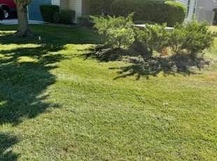 Bush Trimming by Marcus L Cutler for CODRUT S. in Chesapeake, VA