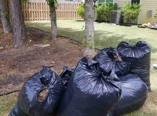 Cleanups by Derrick gadsden for Sharon W. in Summerville, SC