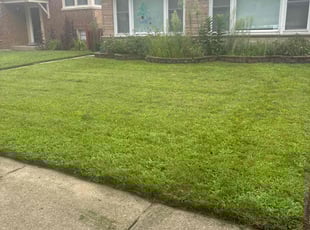 Claire E.'s Grass Cutting service result
