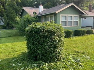 Bush Trimming by Bryant King for Jenna K. in Kansas City, MO