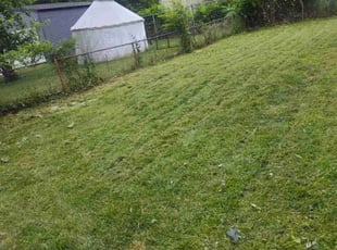 Cleanups by Rayshawn Martin for Morgan E. in Cleveland, OH