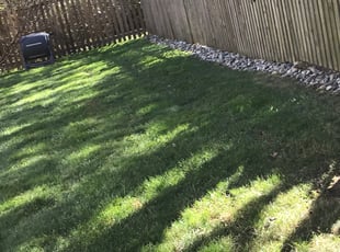 Leaf Removal by Elder E Larios for Heather R. in Gaithersburg, MD