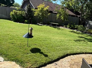 Caleb H.'s Lawn Mowing service result