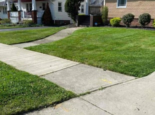 Matilda O.'s Lawn Mowing service result