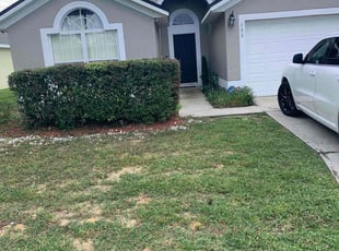 Bush Trimming by Jordan Davis for Anamaris R. in Davenport, FL