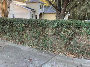 Bush Trimming by Herschell Bradley for Carla L. in Tallahassee, FL