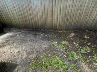 Leaf Removal by Vee Primus for Zachary L. in Jacksonville, FL