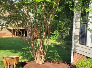 Bush Trimming by Roberto Carrasco for Shomari S. in Rock Hill, SC