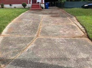 Bush Trimming by Leon Wilson for Priscia W. in Atlanta, GA