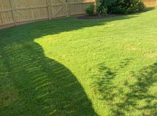 Jamie R.'s Lawn Maintenance service result