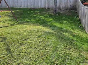 Van B.'s Lawn Care service result