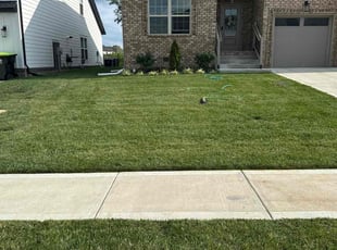 Joell D.'s Grass Cutting service result