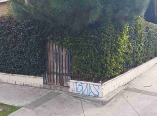 Bush Trimming by Jose Martinez for Bo H. in Los Angeles, CA