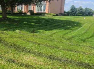 Yeei M.'s Lawn Mowing service result