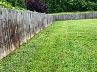 Cleanups by Bryant Gindlesperger for Kris C. in Greensboro, NC