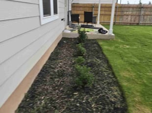 Weeding by Steven Solis for Marc W. in Leander, TX