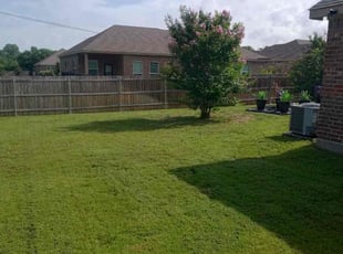 Bush Trimming by Johnnie King for Patricia A. in Lancaster, TX