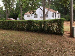 Bush Trimming by Monte Rasheed for Don B. in Birmingham, AL
