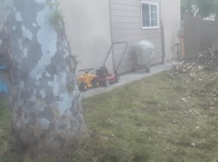 Cleanups by Harley Stevenson for Frederick W. in San Diego, CA