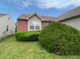 Bush Trimming by Owen Queen for Kelsey C. in Dayton, OH