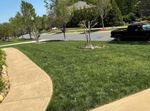 Kenny B.'s Lawn Maintenance service result