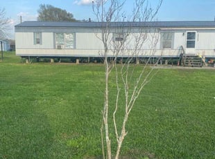 Bush Trimming by Jim Hope for Chelsea S. in Gonzales, LA