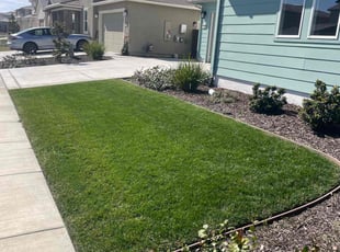 Anel F.'s Lawn Service service result