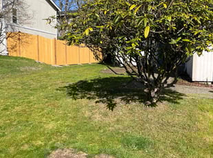 Bush Trimming by Joseph Fullner for Kenya P. in Tacoma, WA