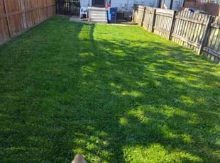 Mike P.'s Grass Cutting service result