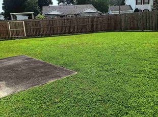 Barbie B.'s Lawn Mowing service result