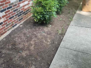 Leaf Removal by Rodrigo Escobar for Michael B. in Reston, VA