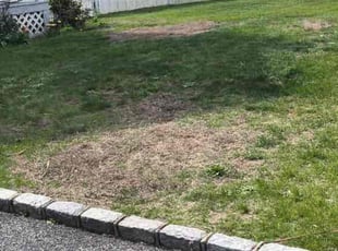 Aeration by Abraham Iraheta for Stephen H. in Deer Park, NY