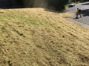 Cleanups by Gabriel Aldrete Contreras for Micah N. in Carmichael, CA