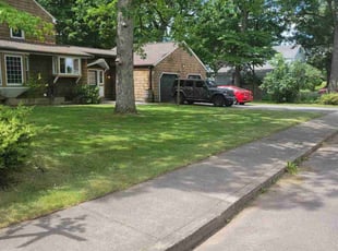 Detrick H.'s Grass Cutting service result