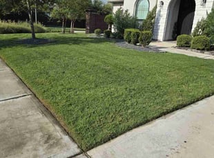 Yusuf Y.'s Lawn Mowing service result